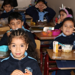 Día de la Actividad Física